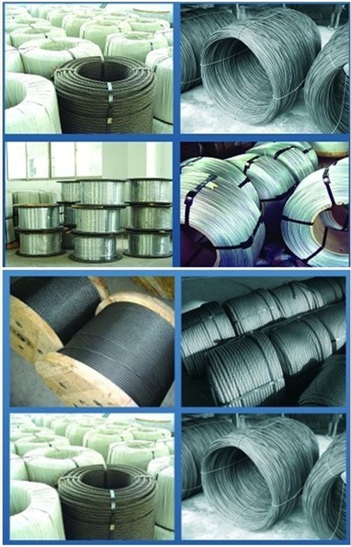 Galvanized Steel Wire Rope for Hanger