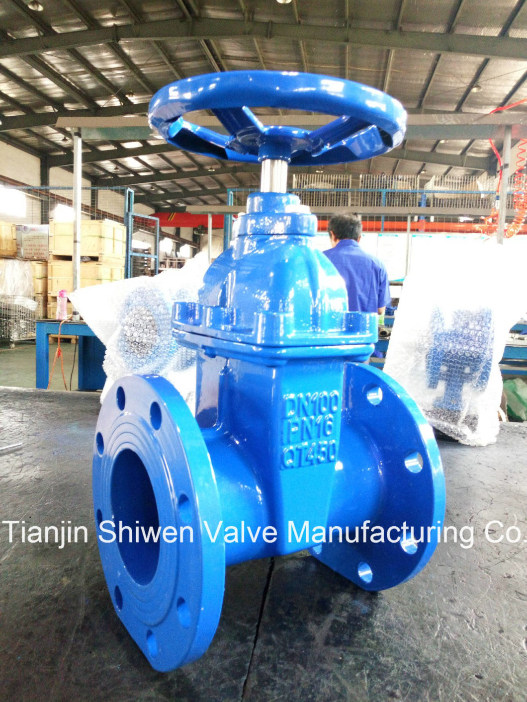 DIN F4 Non-Rising Stem Resilient Seat Gate Valve Pn16