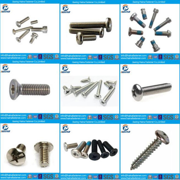 DIN7981 DIN7982 DIN7985 Fastener Screw Self Tapping Screw Machine Screw Pan Head Countersunk Head Stainless Steel Screw