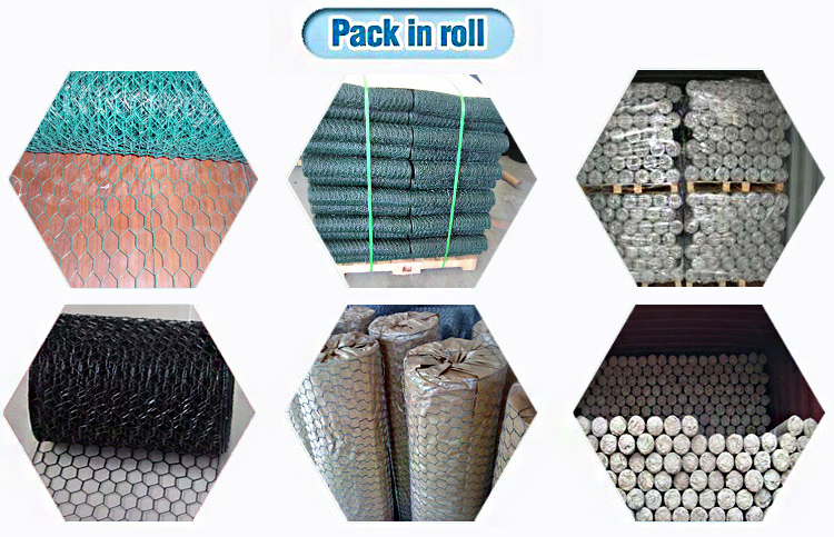 PVC Coated Hexagonal Wire Netting with Factory Price