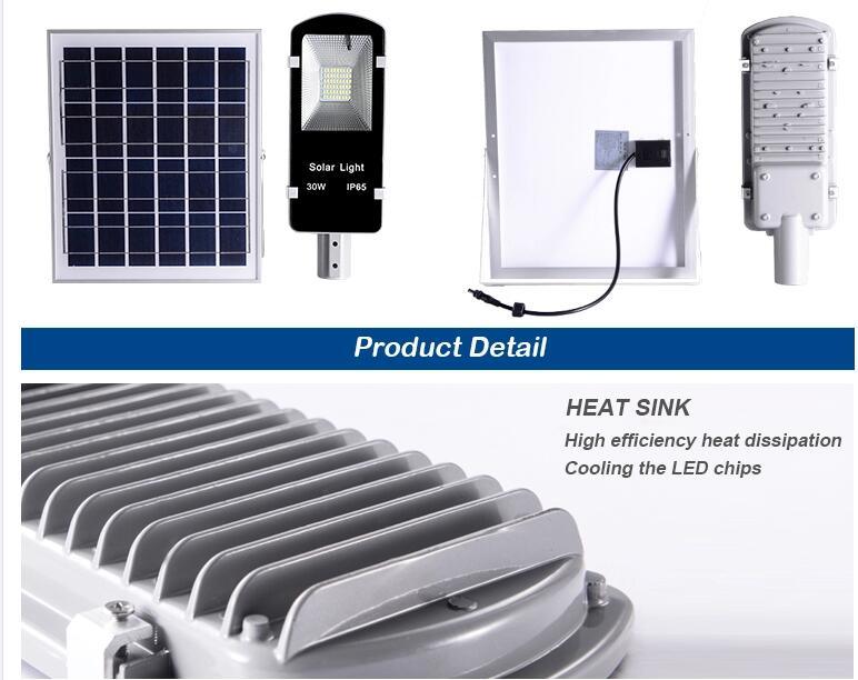 Stainless Solar Powered Low Voltage 12V Decoration Outdoor 30W LED Solar Garden Light