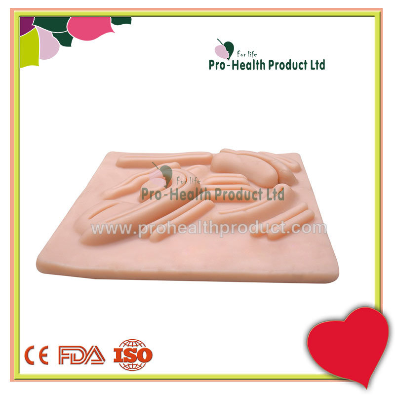 Human Enterocoelia Simulation Suture Practice Training Model Pad