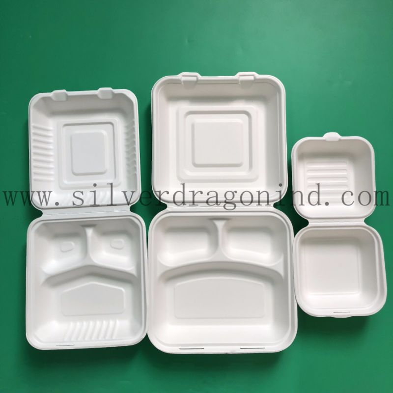 Disposable Paper Bio-Tray of Sugarcane Pulp Material