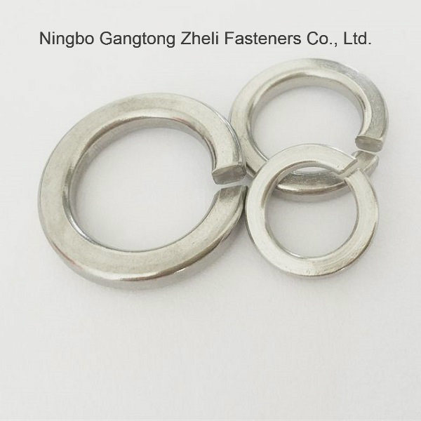 Free Sample Fasteners Stainless Steel DIN125 Flat Washer