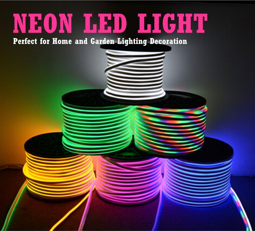 60 LEDs/M Waterproof Flexible RGB LED Neon Strip Light