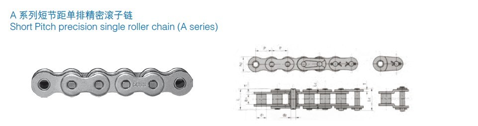 Stainless Steel Standard Roller Chain (A series)