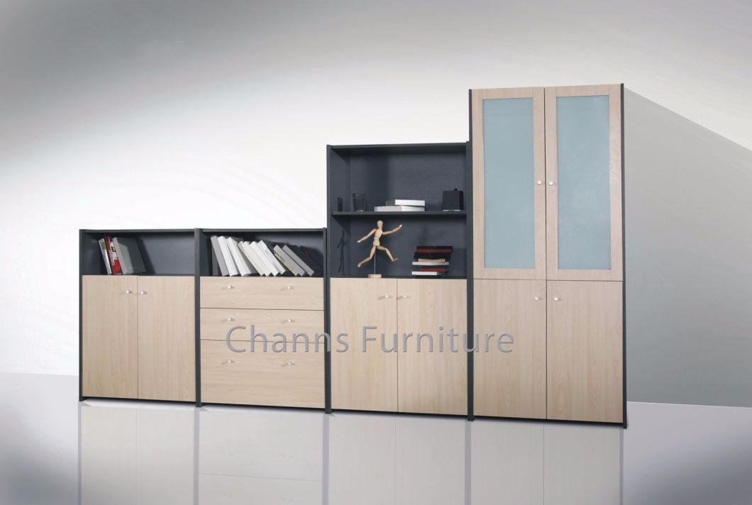 Fashion Office Wooden Furniture File Filing Storage Cabinet with Two Doors (CAS-FC18510)