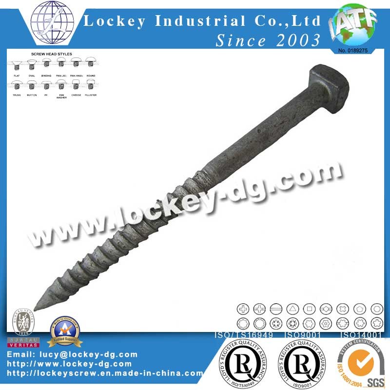 Hex Flange Head Lag Screw Wood Screw Coach Screw