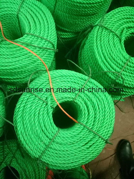 Hot Selling PE Rope and Twine with UV