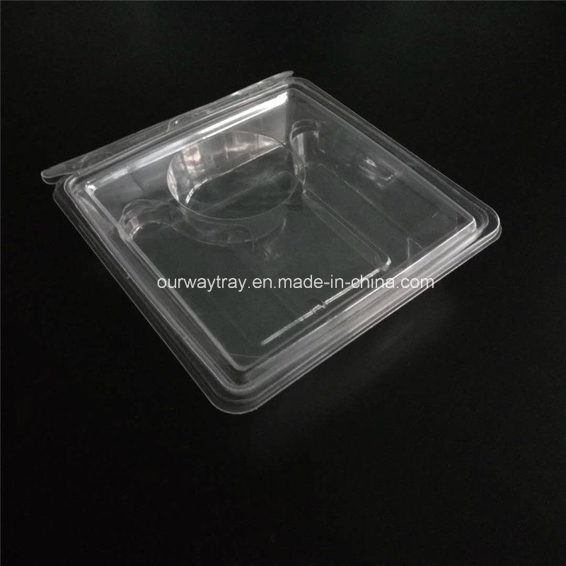 Fresh Sealed 2-Tier Food Packaging Container