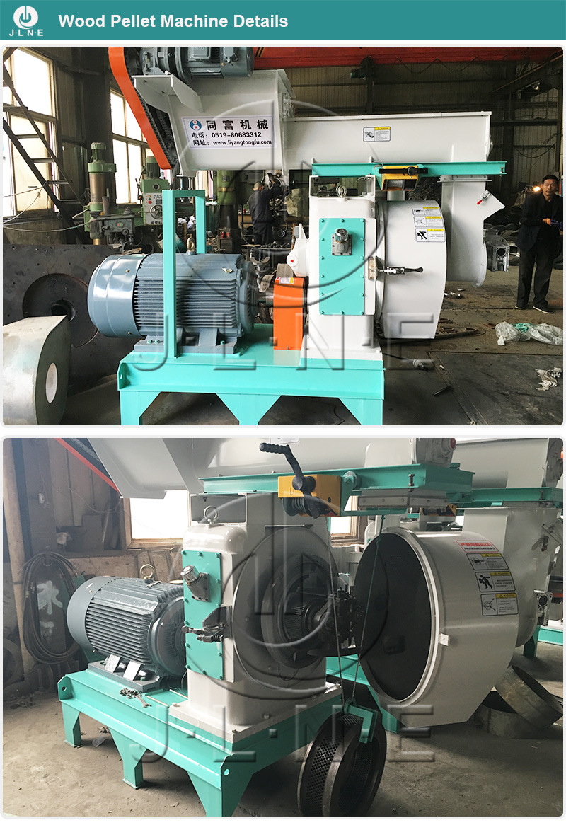 Top Manufacture Professional Pellet Press Biomass/Sawdust/Palm Pelletizer