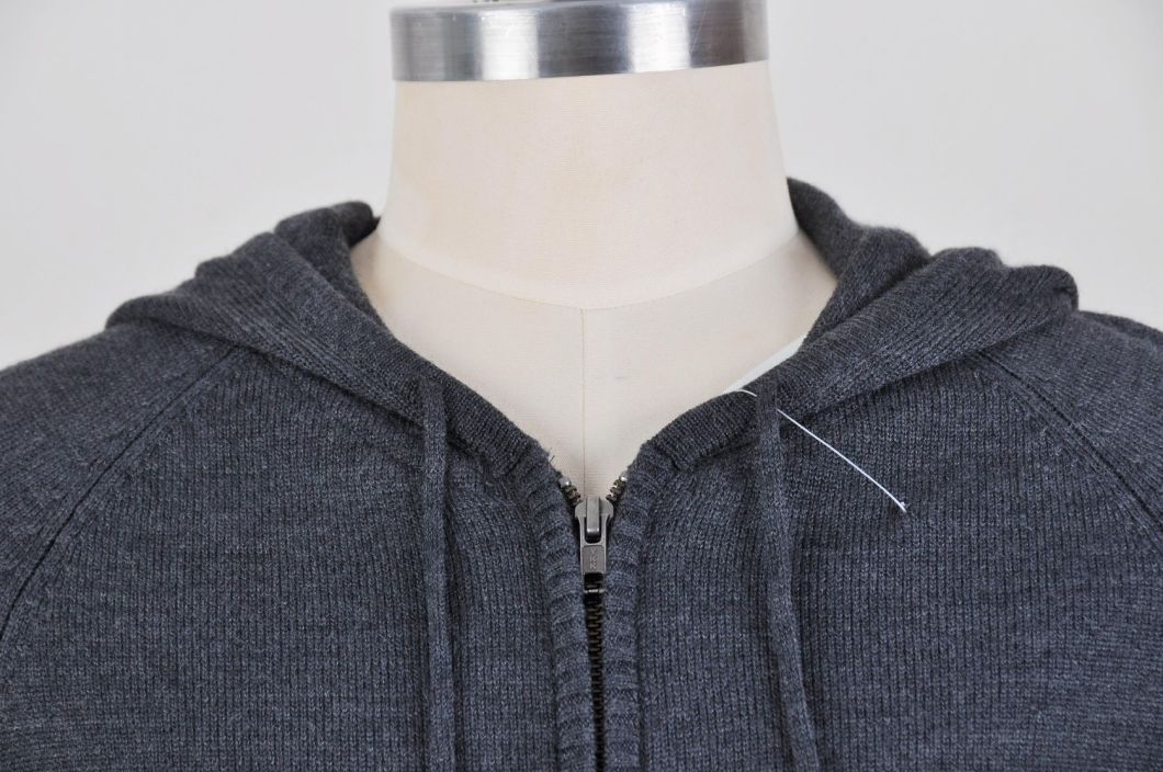 Hoodie Sweater for Men