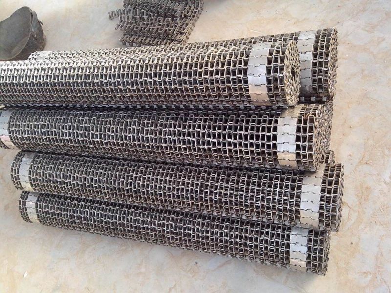 Stainless Steel Horseshoe Wire Net Conveyor Belt