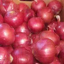 Fresh Onion Wholesale /Fresh Vegetables From China
