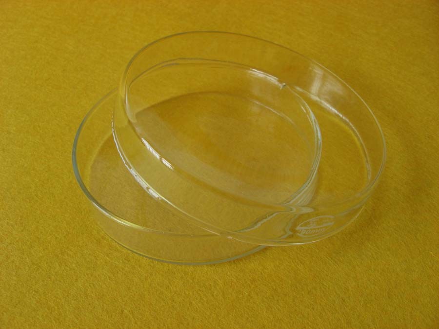 Round Clear Quartz Petri Dish with Lid