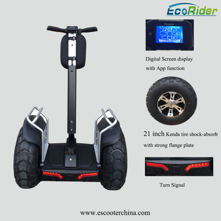 2018 Ecorider Hot Sale Lithium Battery E-Scooter Two Wheel Smart Balance Electric Golf Cart Scooter