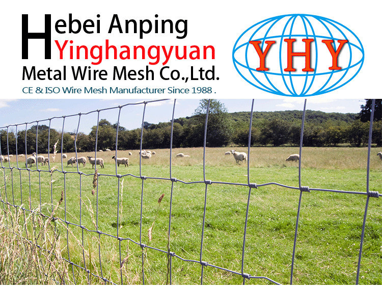 Galvanized 1.5m Hinge Joint Woven Field Wire Mesh Fence for Sheep and Goat