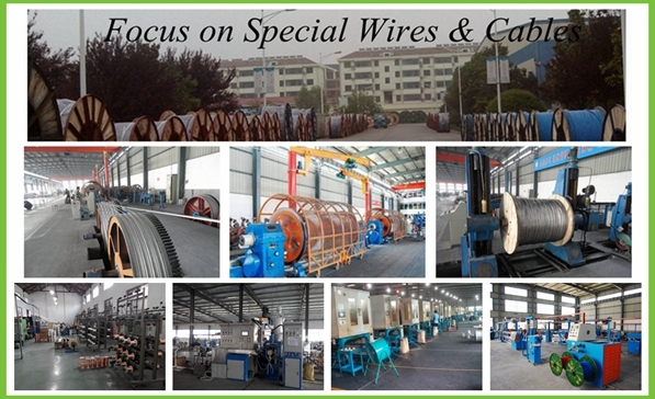 RoHS PVC Copper Multicore Electric Building Wire Silicone Speaker Instrument CAT6 Signal Control Thhn Electrical Cable