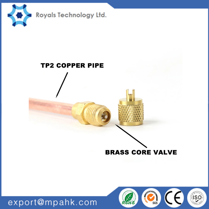 Copper Check Valve/Access Valve