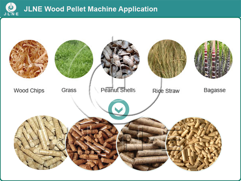 Top Manufacture Professional Pellet Press Biomass/Sawdust/Palm Pelletizer