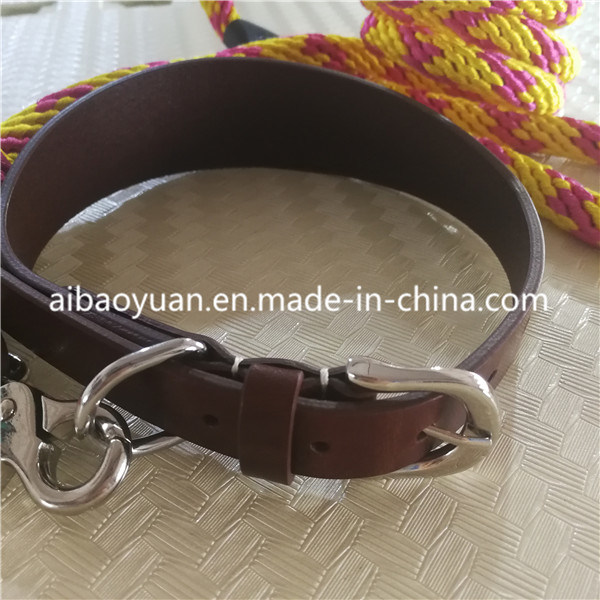 Gold Colour Nylon Yarms Braided and Leather Combinate Belt