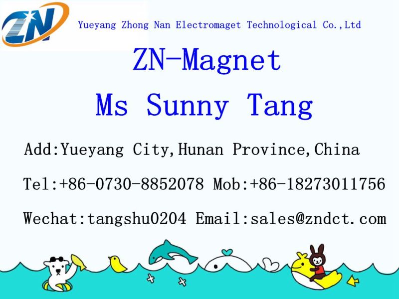 Lifting Electromagnet for Lifting Coiled Steel of MW16