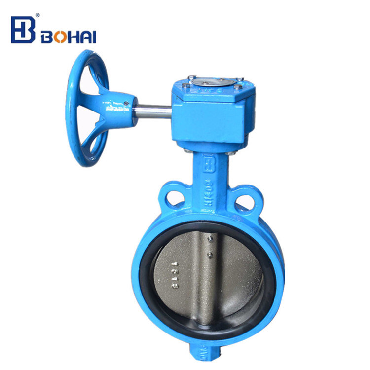 Gear Manual Butterfly Valve