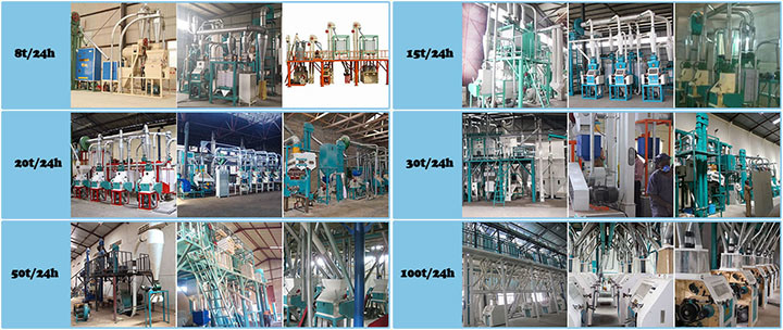 Grain Processing Corn Maize Wheat Semolina Posho Flour Milling Mill Price