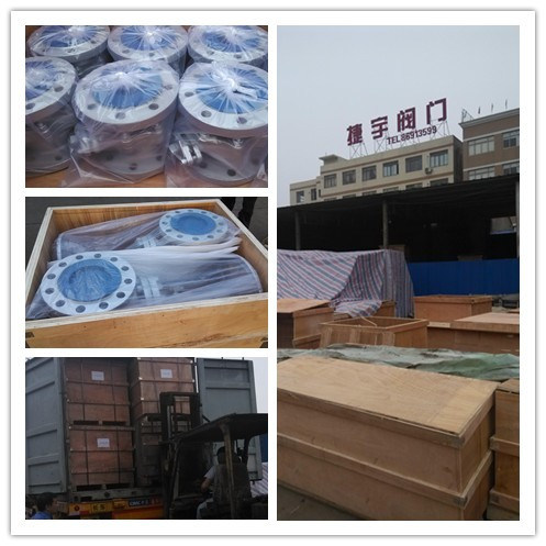 Stainless Steel CF8/CF8m Y Strainer