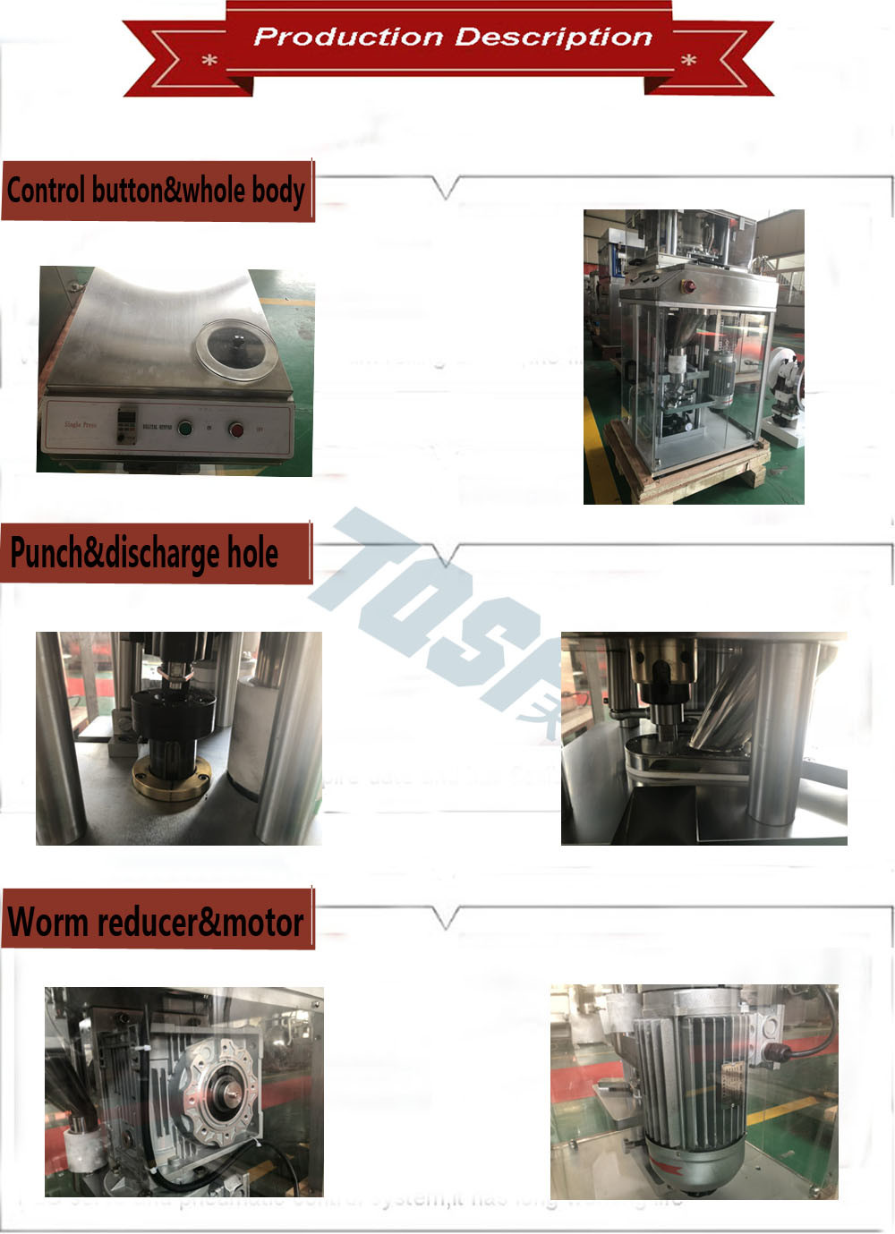Dp-25 Tablet Press Machine Pharmaceutical Equipment with High Quality