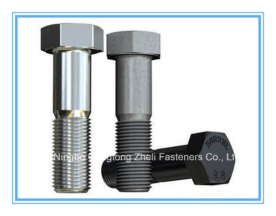 M3-M60 of Stainless Steel Hex Bolt