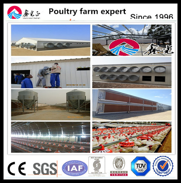 ABS Material Chicken Plastic Slat Flooring System