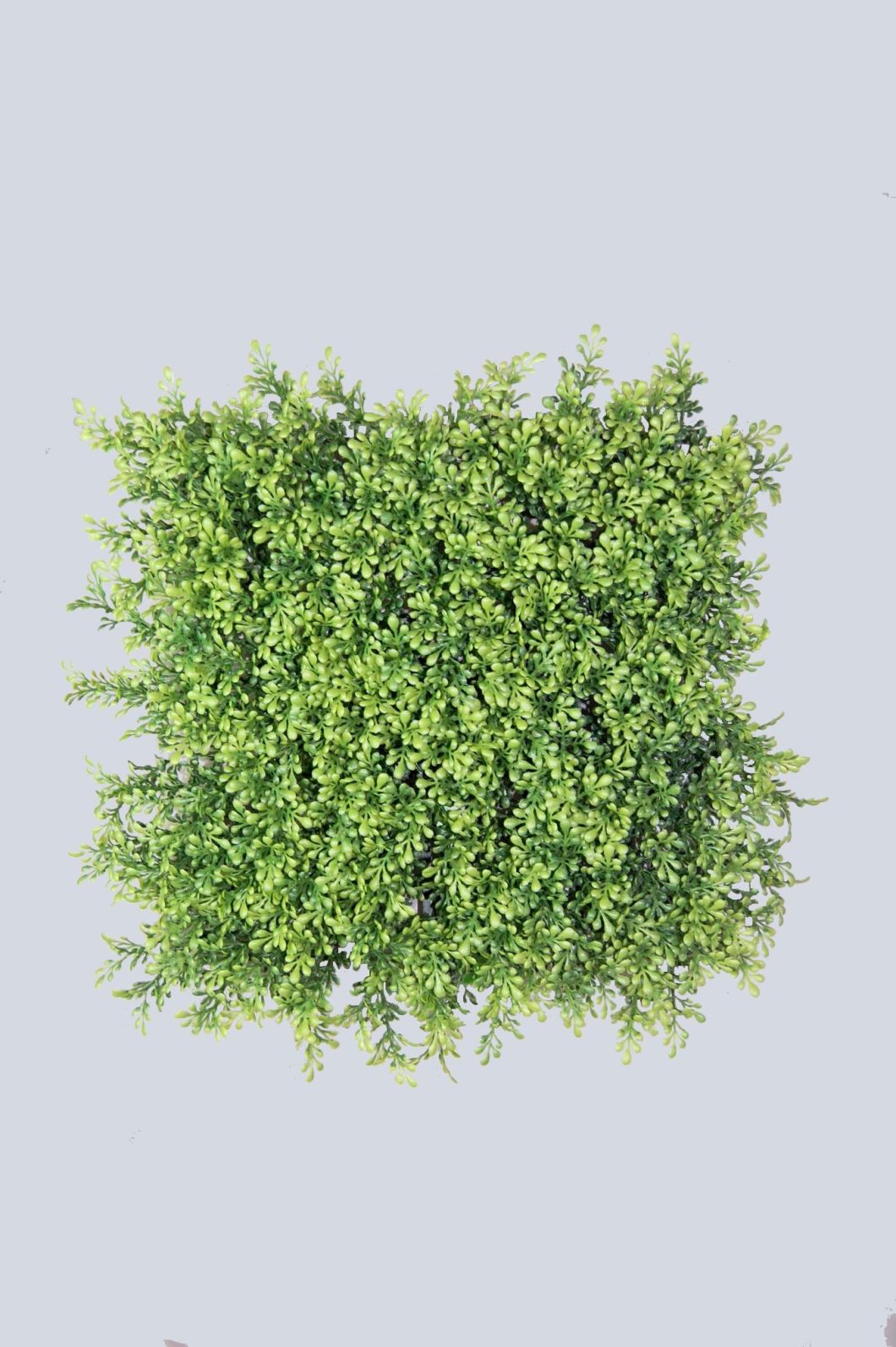 PE Baby Tears Grass Artificial Turf for Home Decoration (48920)