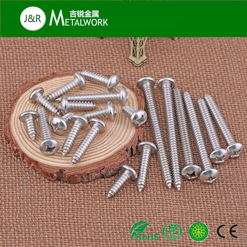 Stainless Steel Philip Pan Head Self Tapping Screw (SS304 SS316)