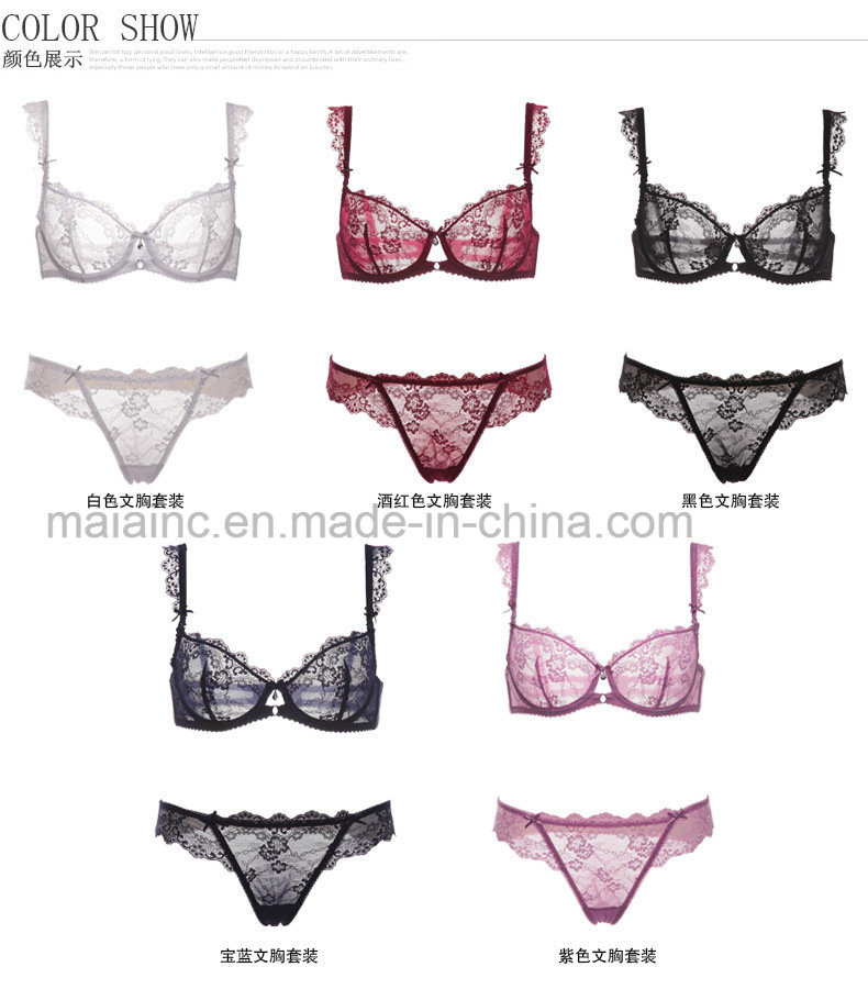 Top Selling Lace Ladies Brief and Bra