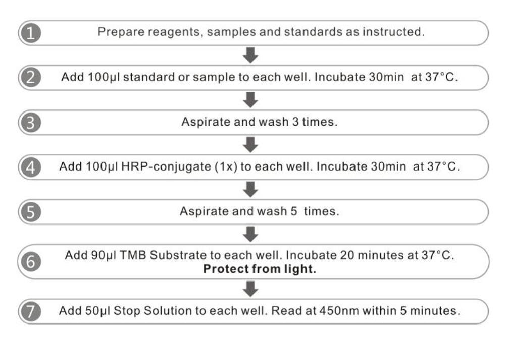 Primary Hepatocellular Carcinoma Afp Alpha-Fetoprotein Elisa Rapid Test (Serum)