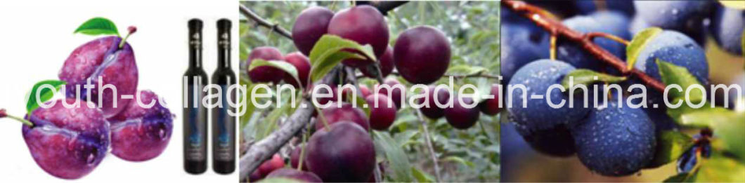 Top Food, EU Quality Organic Wild Plum Wine /Plum Jam,Endangered Species, Rich Organic Acids, Anticancer,Antiaging, Prevent Stone Kidney/Urinary, Protect Liver