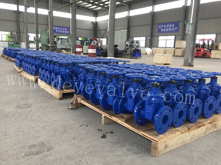 GOST Russia DIN Pn16 Cast Ductile Iron Rubber Seat Wedge Gate Valve