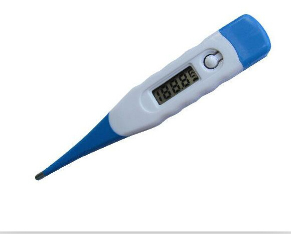 SIP Texnet Digital Thermometer