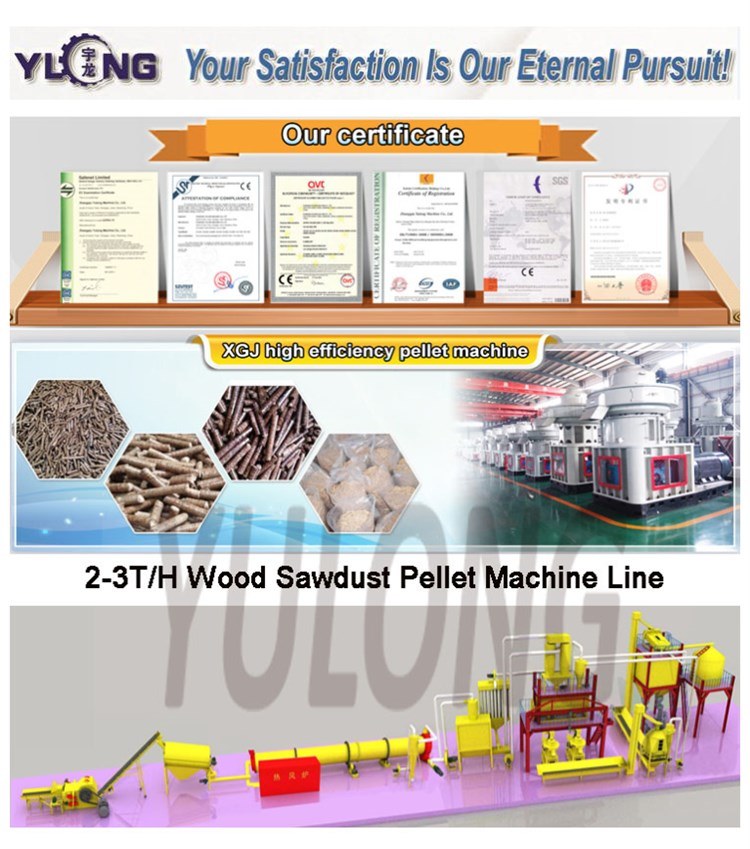 Yulong Patent Vertical Ring Die Wood Sawdust Pellet Machine