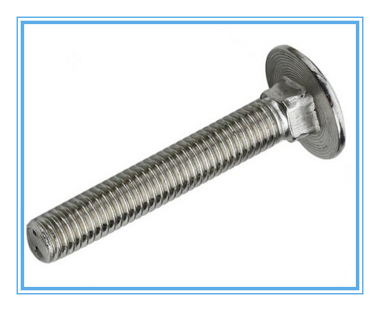 Stainless Steel Carriage Bolt, Mushroom Head, Square Neck Bolt, DIN603