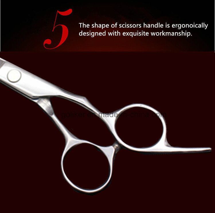 Hot Sale Professional Hair Cutting Scissors