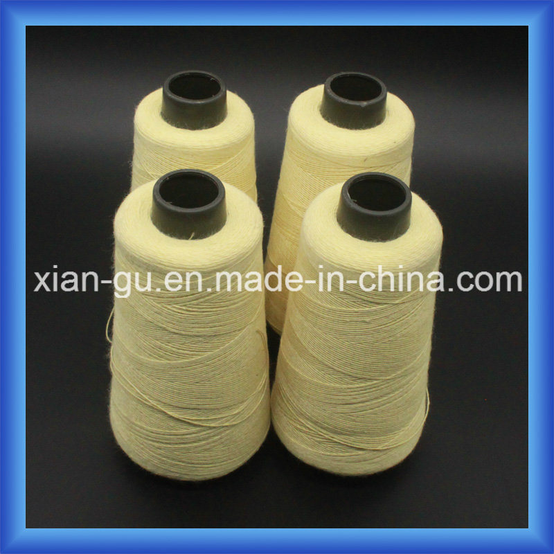 PARA-Aramid Twisted Yarn