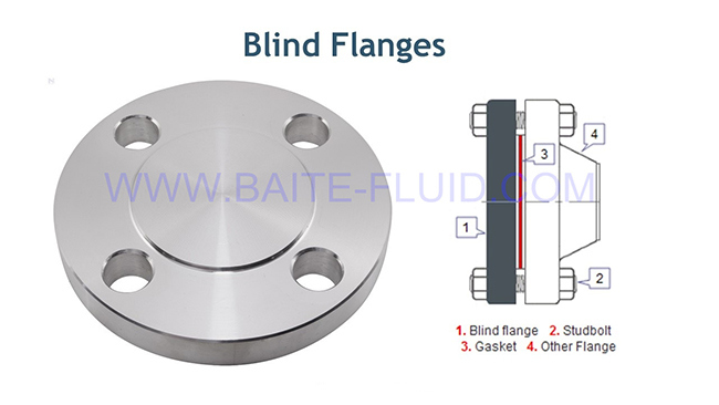Forging Stainless Steel 1.4308 Flange Pipe Flange Blind Flange