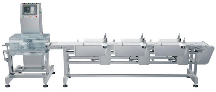 Conveyor Belt Weight Check Weigher Machine