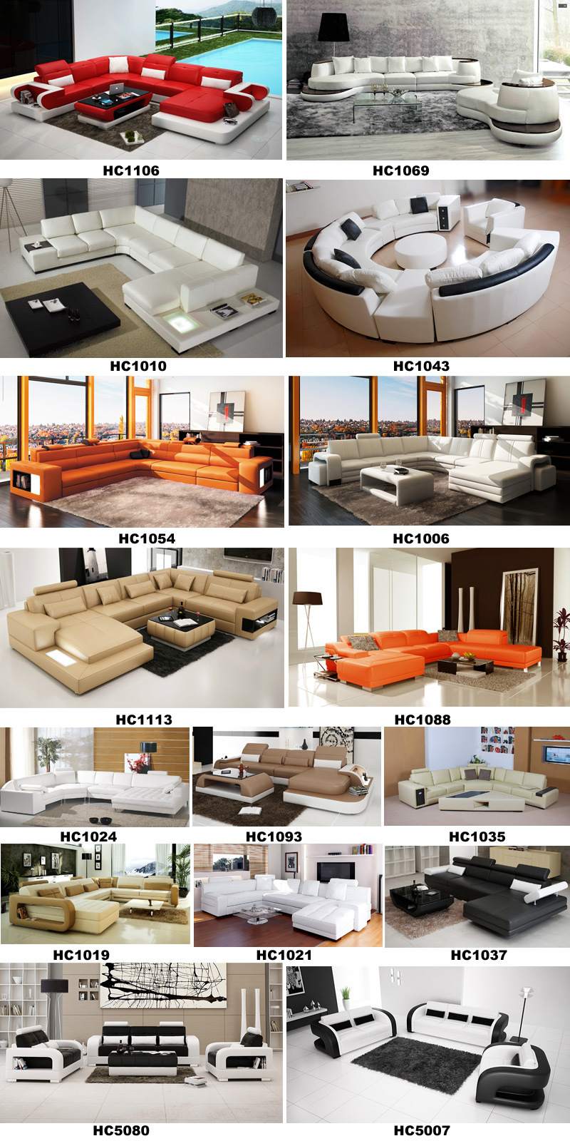 Chinese Modern Furniture Sectional Living Room Leisure Leather Sofa (HC1012)