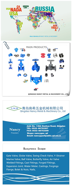 Cast Iron Rubber Wedge Non-Rising Stem Gate Valve