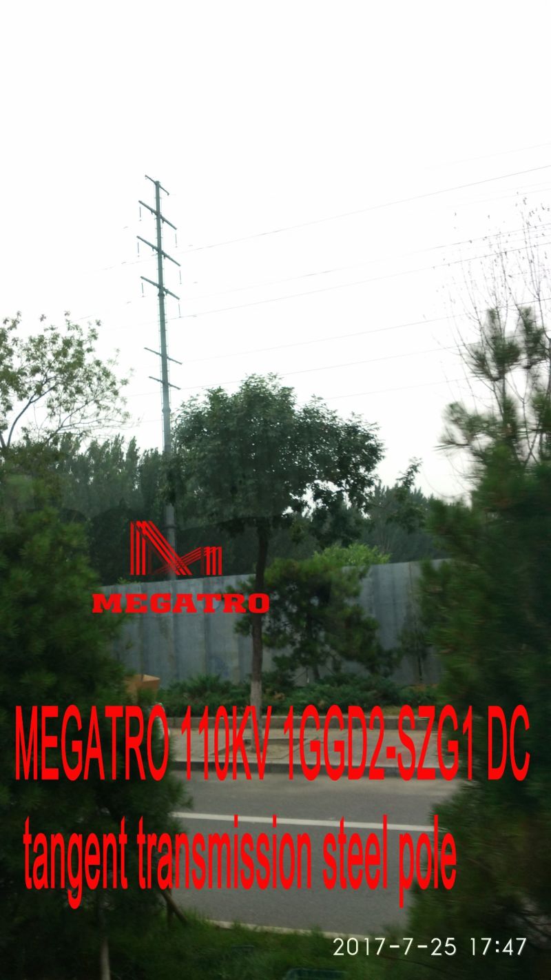 Megatro 110kv 1ggd2-Szg1 DC Tangent Transmission Steel Pole