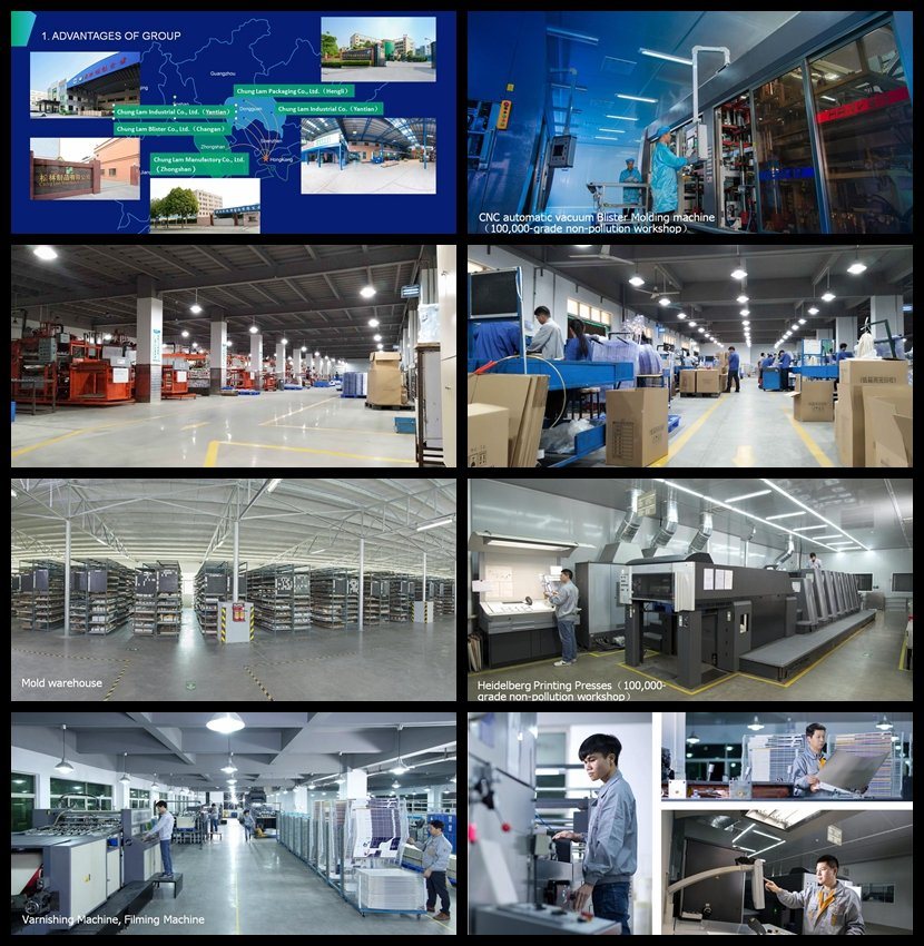 Factory Customized PVC/Pet/PP Blister Packaging for Cosmetics