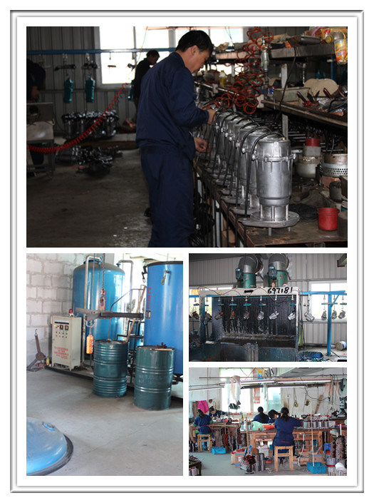 Small Submersible Pump for Clean Water (QDX Series)